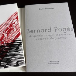 Bernard Pagès - Diagonales,...