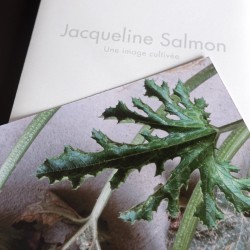 Jacqueline Salmon, une...